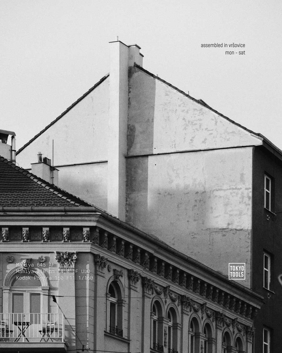 VRSOVICE-ANALOG_OCTOBER_4x5-12